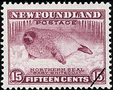 Newfoundland postage stamp (1943): Northern Seal, Baby Whitecoat