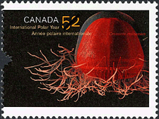 Canadian Postage Stamp (2007): Crossota norvegica