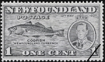 Newfoundland Postage Stamp (1937): Codfish, "Newfoundland Currency", King George VI, 12th May 1937