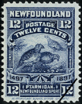 Newfoundland Postage Stamp (1897): Ptarmigan, Newfoundland Sport