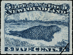 Newfoundland Postage Stamp (1905): Harp Seal