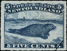 Newfoundland Postage Stamp (1905): Harp Seal