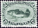 Newfoundland Postage Stamp (1865): Codfish