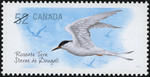 Canadian Postage Stamp (2008): Roseate Tern, author: National Archives of Canada