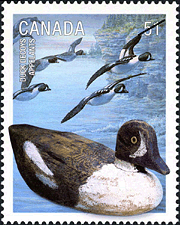 Canadian Postage Stamp (2006): Barrow's golden eye