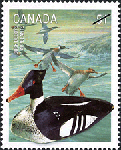 Canadian Postage Stamp (2006): Red-breasted merganser
