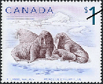 Canadian Postage Stamp (2005): Atlantic walrus