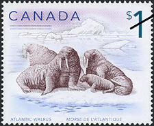 Canadian Postage Stamp (2005): Atlantic walrus