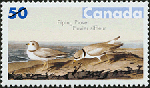 Canadian Postage Stamp (2005): Piping Plover