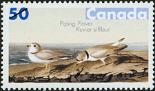 Canadian Postage Stamp (2005): Piping Plover