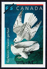Canadian Postage Stamp (2003): Gyrfalcon