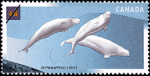 Canadian Postage Stamp (2000): Beluga Whale, Delphinapterus leucas