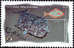 Canadian Postage Stamp (1997): Pacific Halibut, Hippoglossus stenolepis