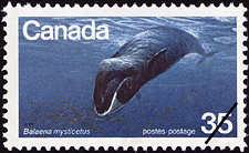 Canadian Postage Stamp (1979): Bowhead Whale, Balaena mysticetus