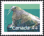 Canadian Postage Stamp (1989): Atlantic walrus