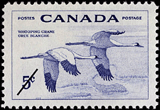 Canadian Postage Stamp (1955): Whooping Crane