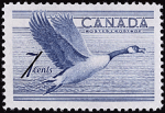 Canadian Postage Stamp (1952): Canada Goose, Branta canadensis