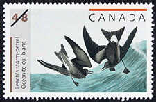 Canadian Postage Stamp (2003): Leach's storm-petrel