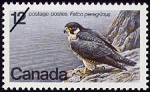 Canadian Postage Stamp (1978): Peregrine Falcon, Falco peregrinus