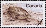 Canadian Postage Stamp (1979): Eastern Spiny Soft-shelled Turtle, Trionyx spinifera