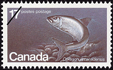 Canadian Postage Stamp (1980): Atlantic Whitefish, Coregonus canadensis Canadian Postage Stamp (1980): Atlantic Whitefish, Coregonus canadensis