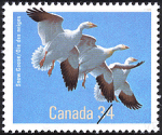 Canadian Postage Stamp (1986): Snow Goose
