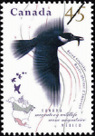 Canadian Postage Stamp (1995): Belted Kingfisher