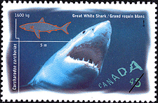 Canadian Postage Stamp (1997): Great White Shark, Carcharodon carcharias Canadian Postage Stamp (1997): Great White Shark, Carcharodon carcharias