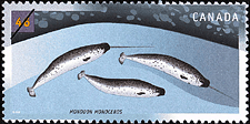 Canadian Postage Stamp (2000): Narwhal, Monodon monoceros