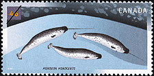 Canadian Postage Stamp (2000): Narwhal, Monodon monoceros Canadian Postage Stamp (2000): Narwhal, Monodon monoceros