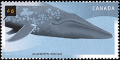 Canadian Postage Stamp (2000): Blue Whale, Balaenoptera musculus