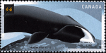 Canadian Postage Stamp (2000): Bowhead, Balaena mysticetus