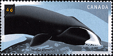 Canadian Postage Stamp (2000): Bowhead, Balaena mysticetus Canadian Postage Stamp (2000): Bowhead, Balaena mysticetus