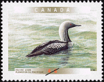 Canadian Postage Stamp (2000): Pacific Loon