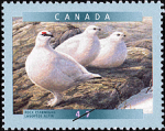 Canadian Postage Stamp (2001): Rock Ptarmigan