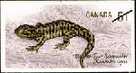 Canadian Postage Stamp (2006): Blotched tiger salamander