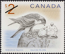 Canadian Postage Stamp (2005): Peregrine falcon