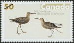 Canadian Postage Stamp (2005): Stilt Sandpiper