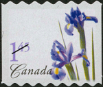 Canadian Postage Stamp (2004): Purple Dutch Iris