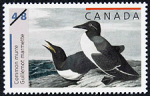 Canadian Postage Stamp (2003): Common murre