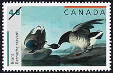 Canadian Postage Stamp (2003): Brant