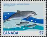Canadian Postage Stamp (2010): Harbour Porpoise