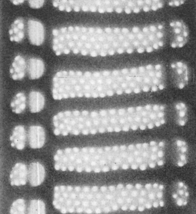 EM valve from type locality EM valve from type locality