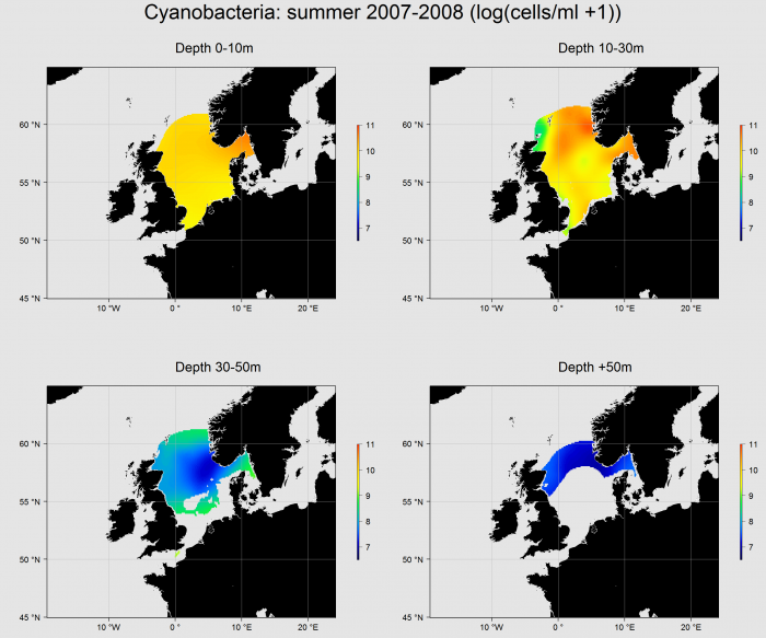 Cyanobacteria