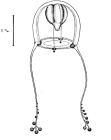 Zancleopsis elegans from Bouillon (1978c)