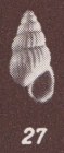 Rissoa munieri Szöts, 1953