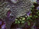 JPG file