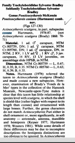 New combination by Howe & McKenzie, 1989