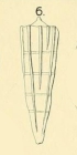 Pyramidulina eptagona Costa in Fornasini, 1894