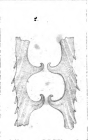 Dimorphina striata Schwager, 1866